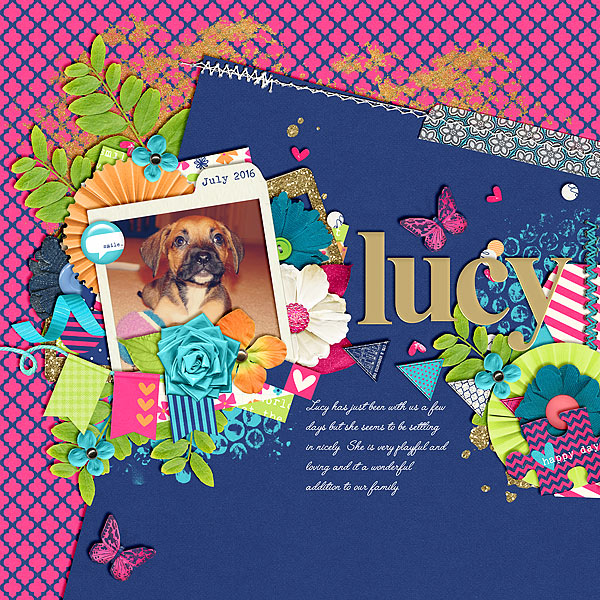 lucy_cqc_gimlay53_2-copy