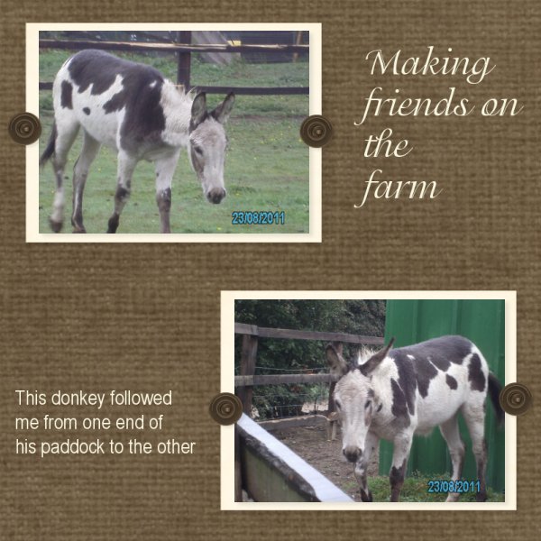 making_friends