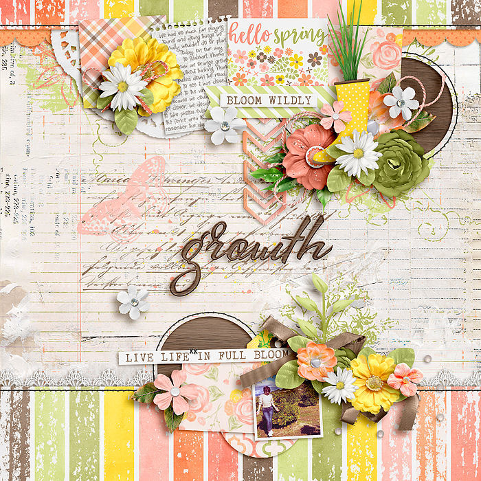 march19_smaller2