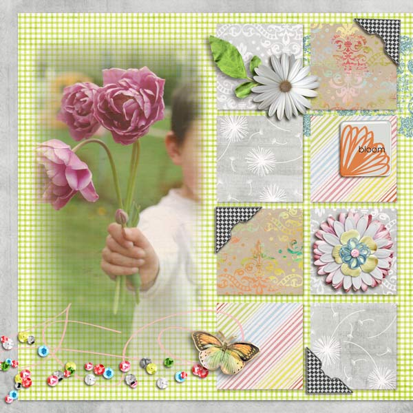 may-flowers-left-web