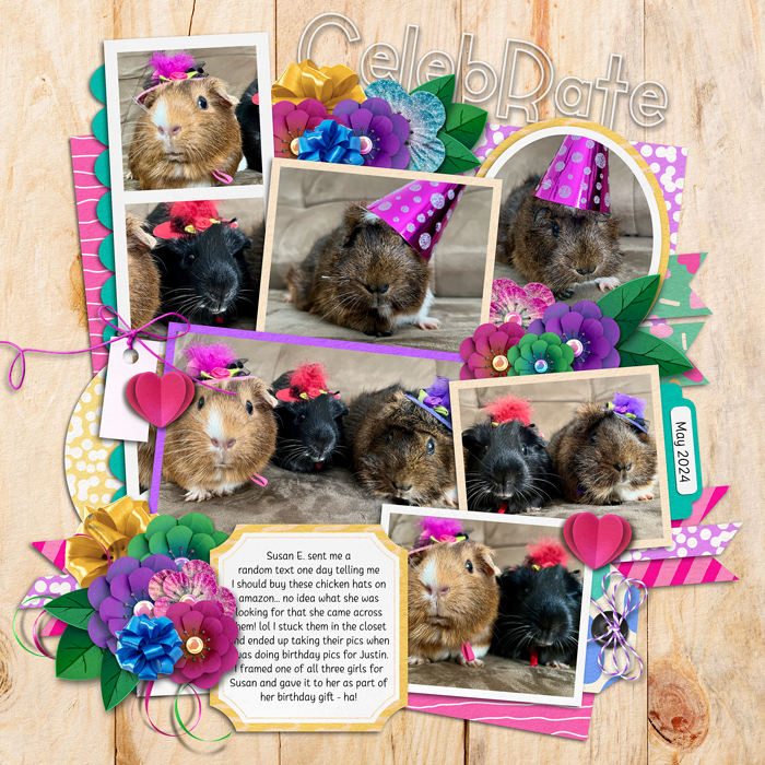 may24piggiesweb