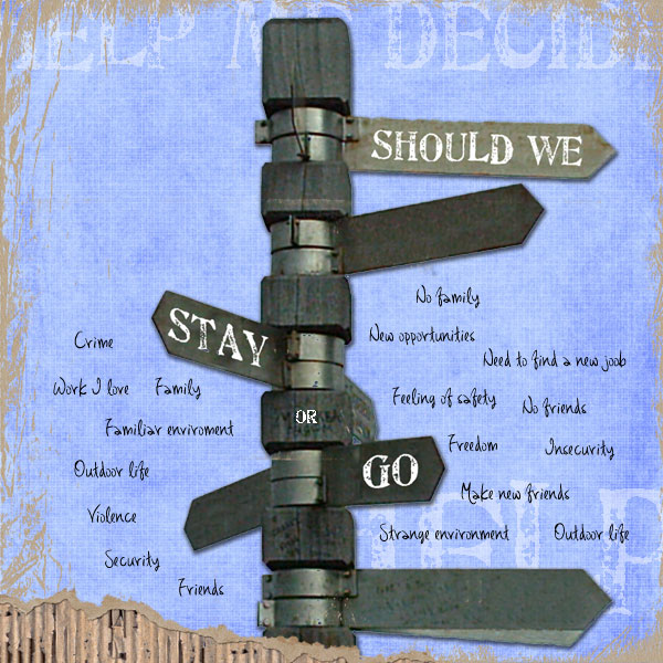 mc_perspective
