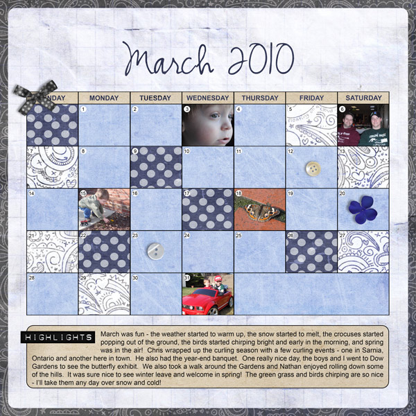 mcato-monthinreview2010-mar
