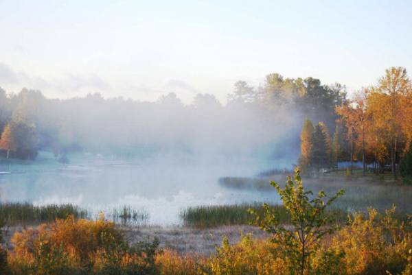 Autumn on the river
