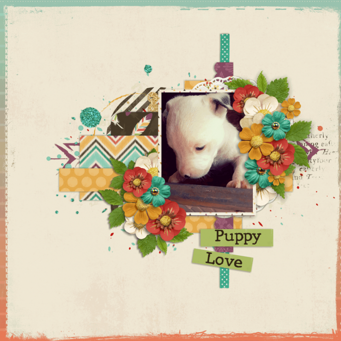 Favorite photo app-3 week old puppy