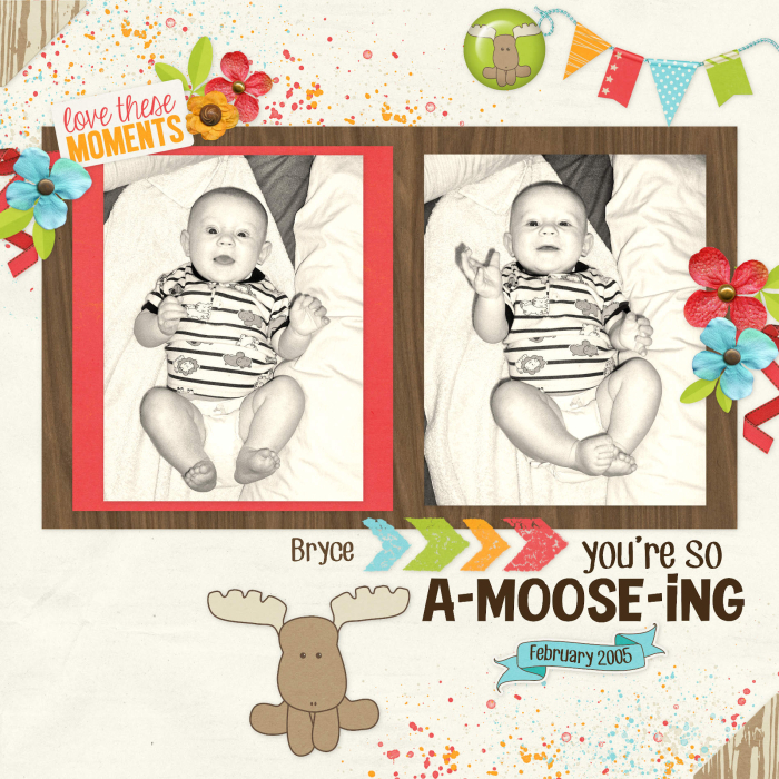 Moose