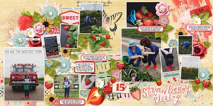 strawberry picking