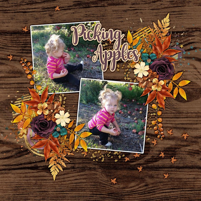 Picking Apples