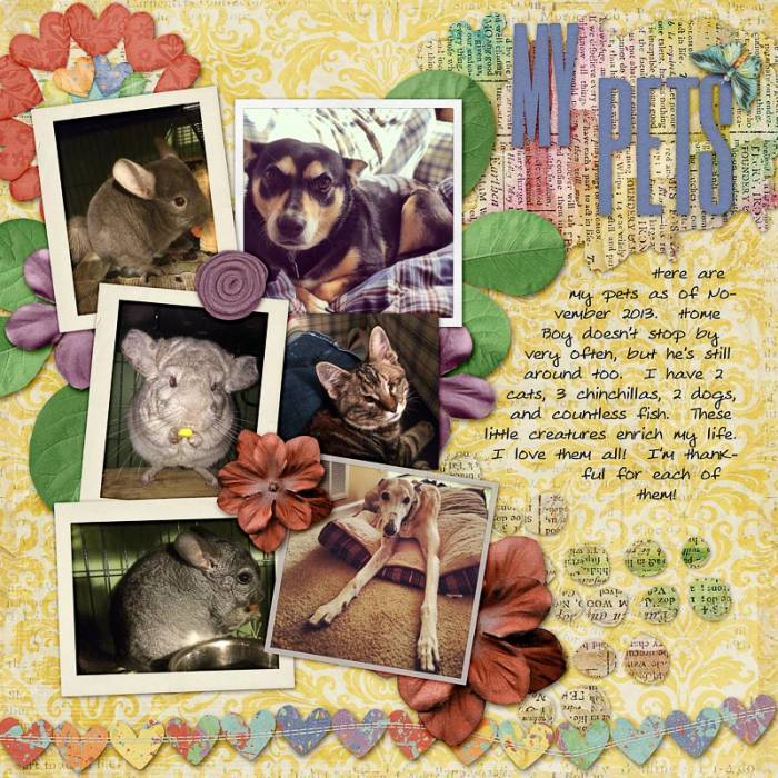Thankful for my pets.