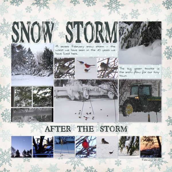 Snow Storm