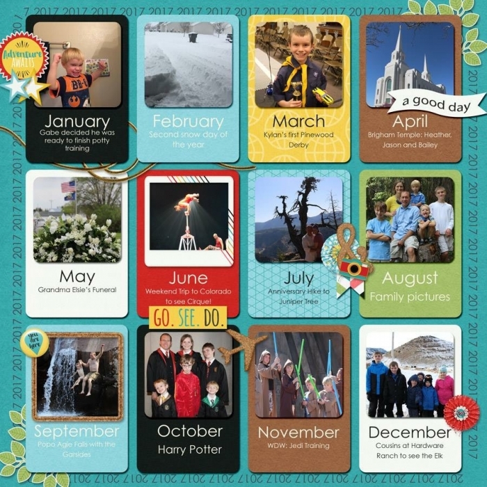 2017 backcover review