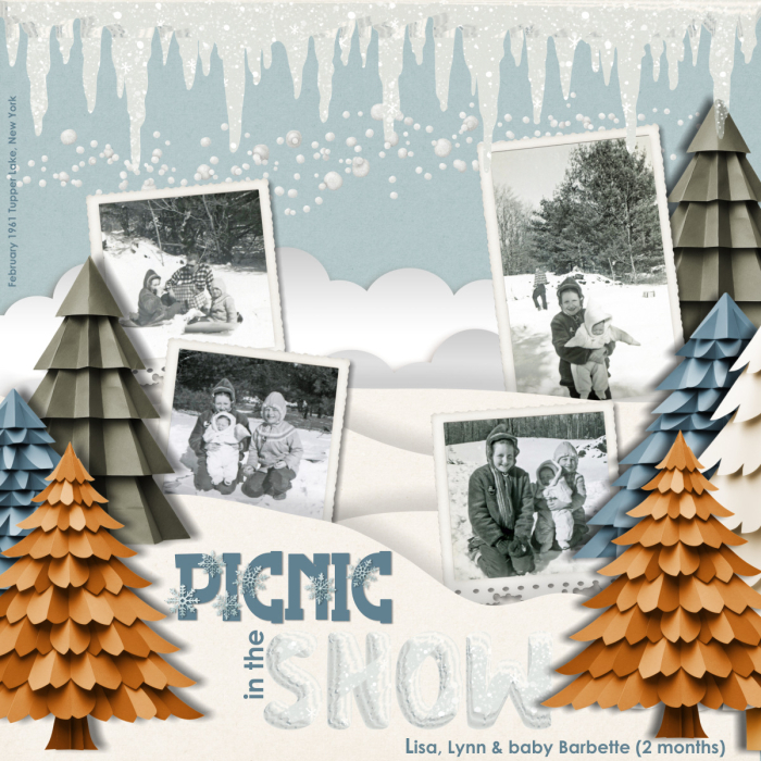 1961 02 Picnic in the Snow