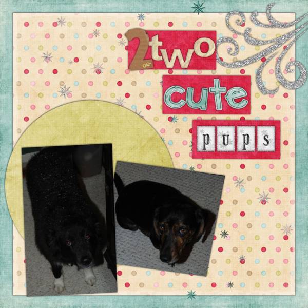 Two Cute Pups