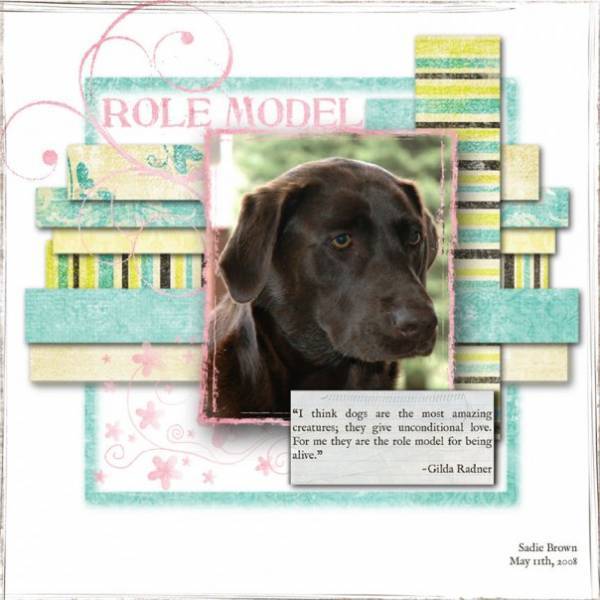 Role Model