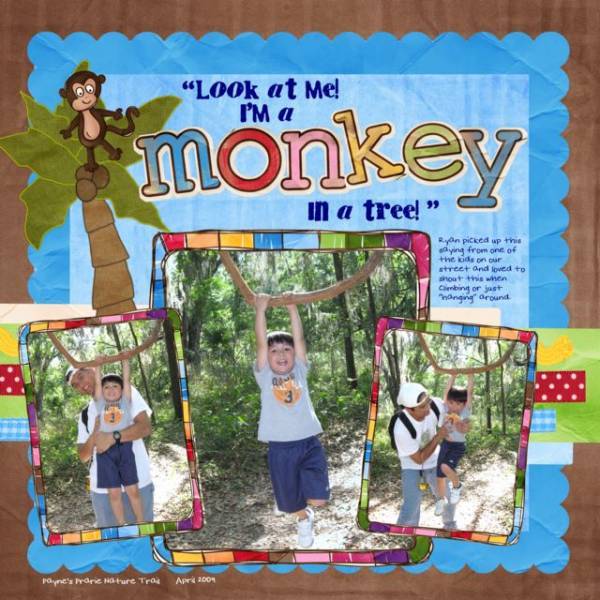 Monkey in a Tree
