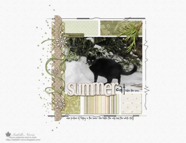 Summer cat hates ....