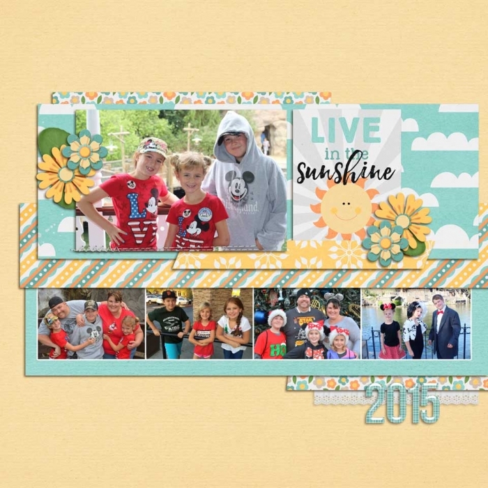 2015 LIVE IN THE SUNSHINE