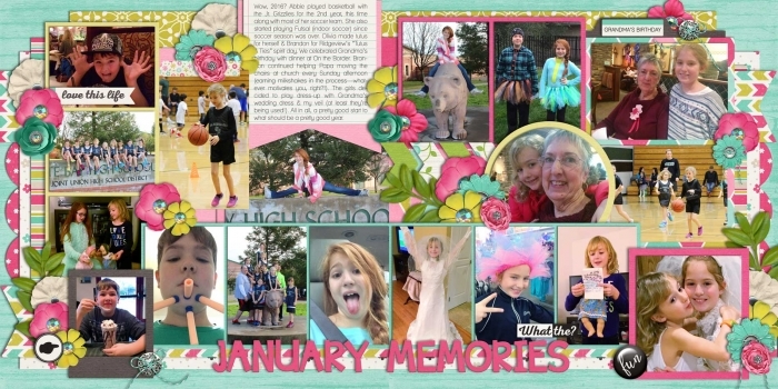 JANUARY MEMORIES (2016)