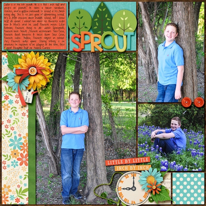 Bluebonnets right