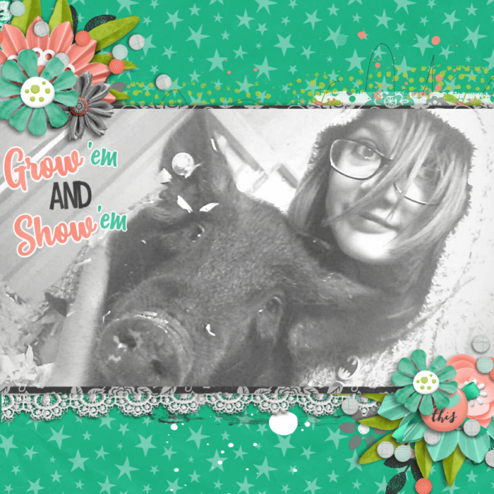 Journal on photo