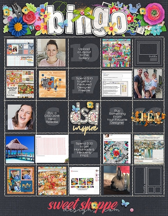 DSD bingo