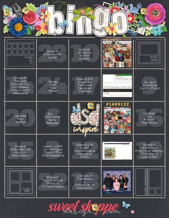 2018_DSDbingo
