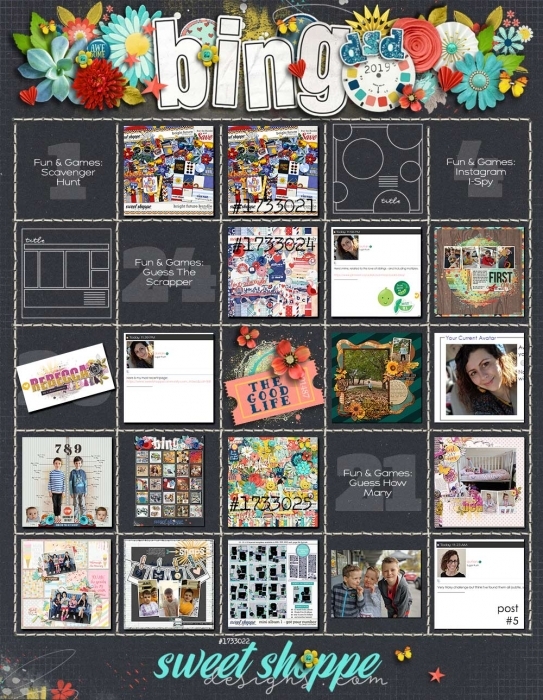 DSD Bingo 2019