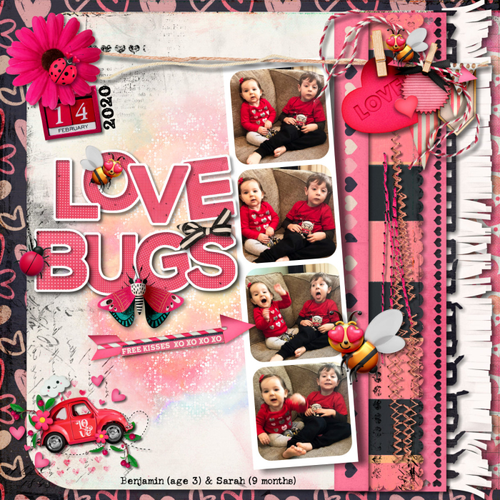 Love Bugs 2020