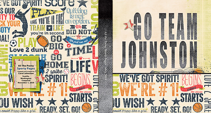 2020_Go_Team_Johnston_Book_Cover