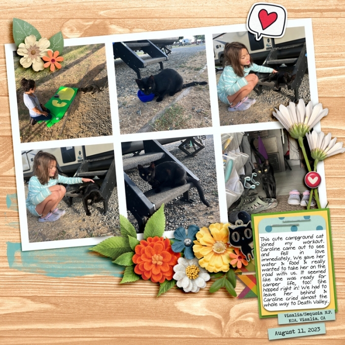 Campground Cat