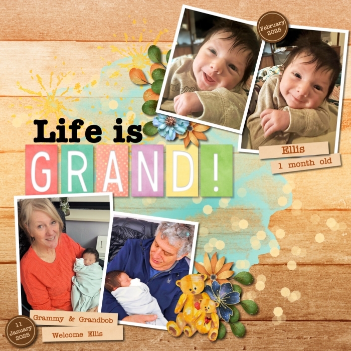 The Grand Life with Ellis