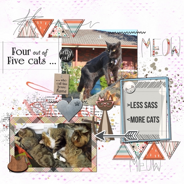 4 out of 5 cats