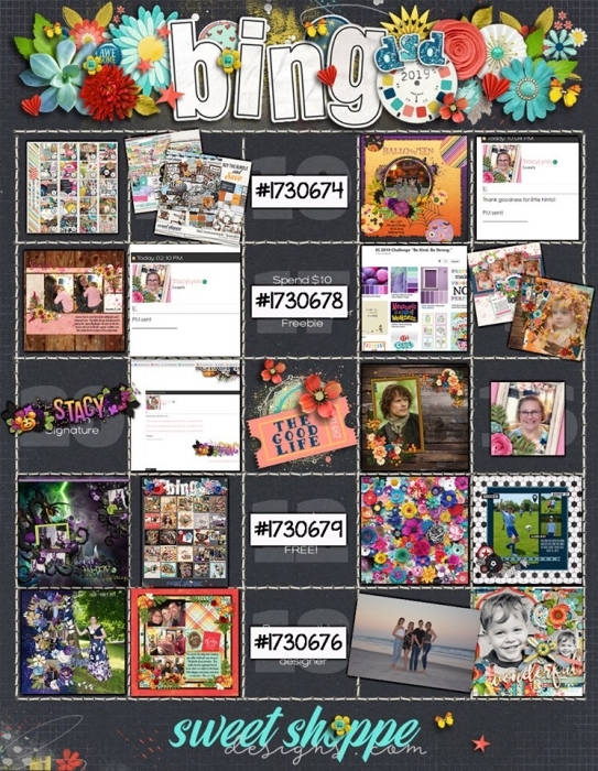 DSD Bingo 2019