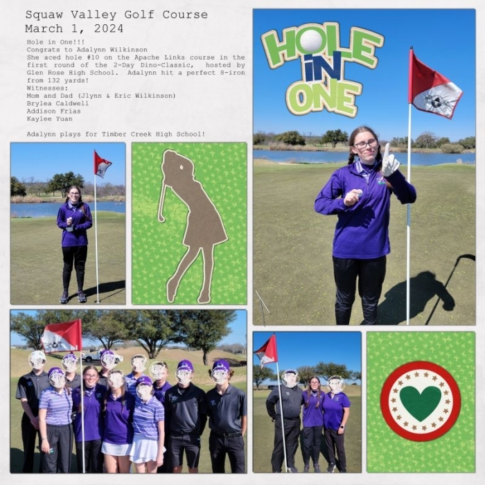 Hole in One