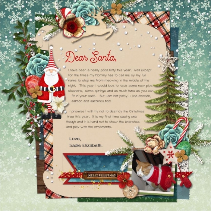 Dear Santa - Love Sadie