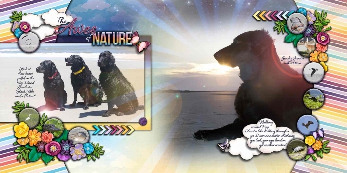 Awes of Nature