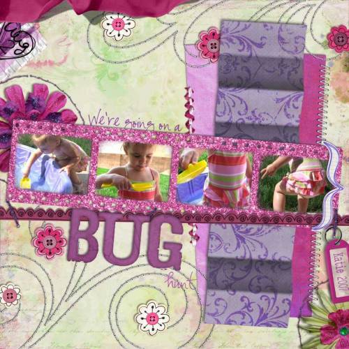 Bug Hunt