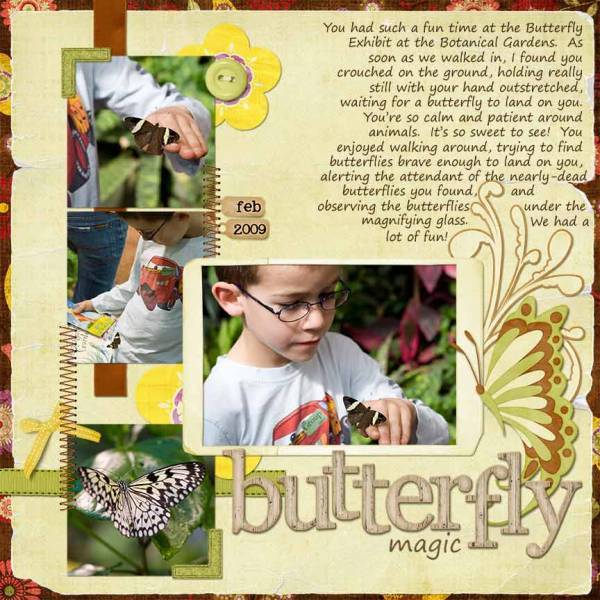 Butterfly Magic