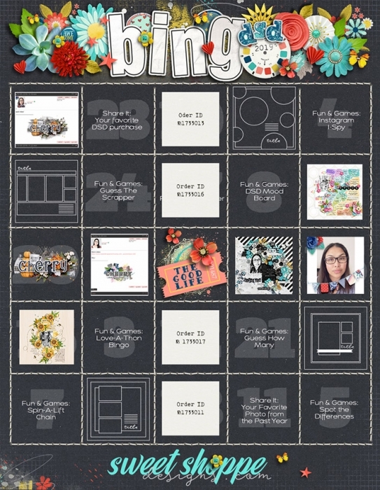 2019 DSD Bingo
