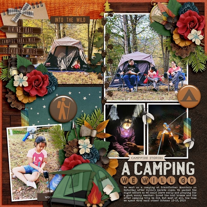 A Camping We Wil Go