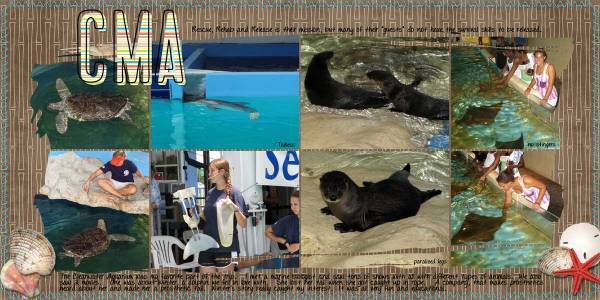 CMA (Clearwater Marine Aquarium)
