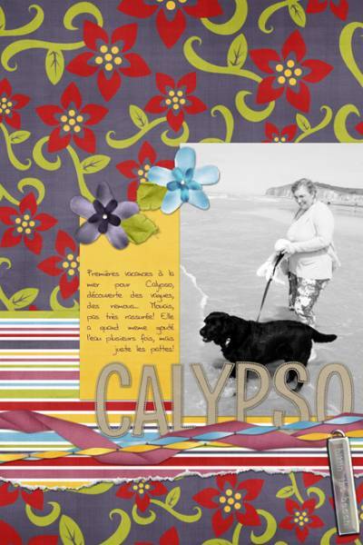Calypso - 1st bath