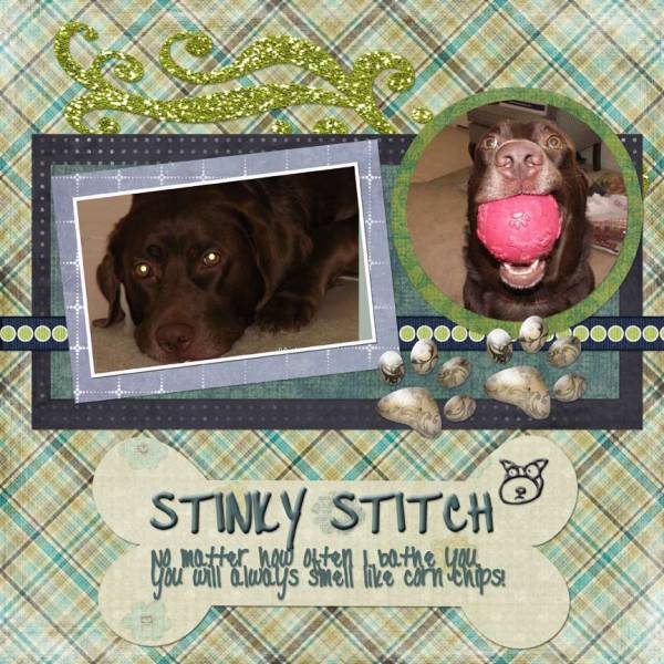 Stinky Stitch