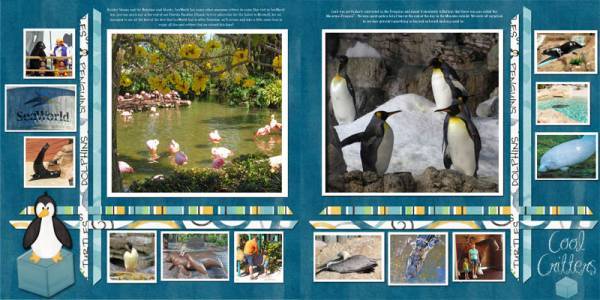 Cool Critters at SeaWorld