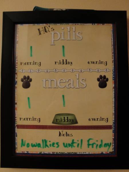 Dog Pill and Food Tracking Board