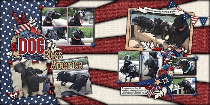Dog Bless America
