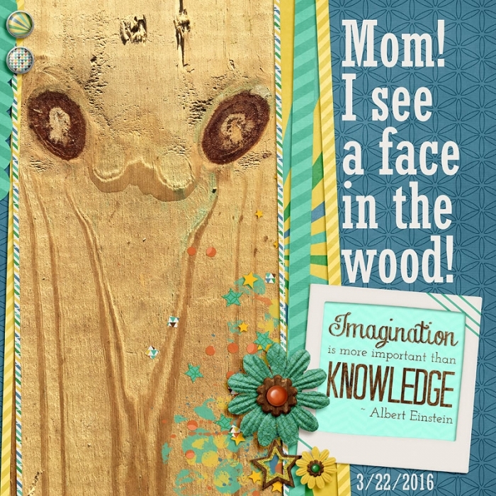Face in the Wood