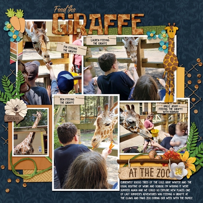 Feed the Giraffe