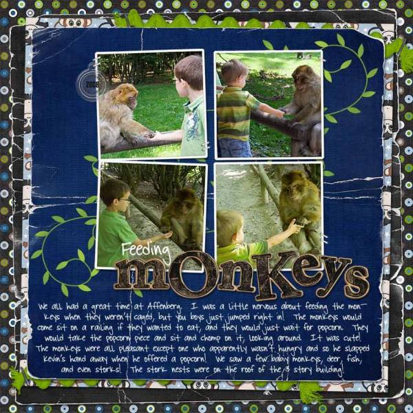 Feeding Monkeys