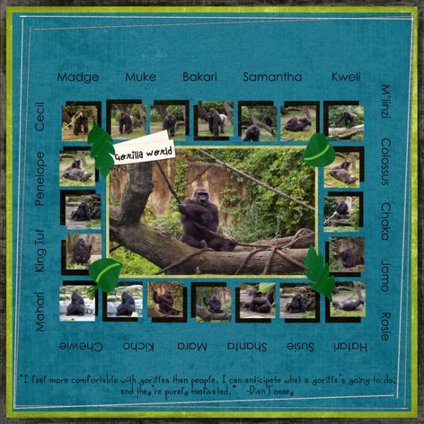 Gorilla World